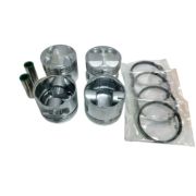 Комплект поршней (1комп./7шт.) HPV102