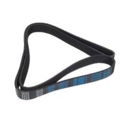 Ремень приводной поликлиновой EPDM (Globelt) 8PK2240_GLOBELT