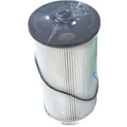 Filton ( 4387763 ) Топливный фильтр