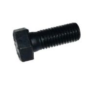 Болт крепления звездочки M20х55х2,5 ZU-952055
