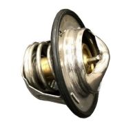 Термостат (IVEKO/504384724)